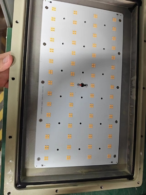 IP66 WF2 Protection Explosion Proof LED Flood Light For Pendent Mounting For Gas Station Workshop