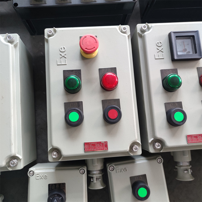 Flameproof Control Board With IP66/WF2 Protection For Hazardous Environments