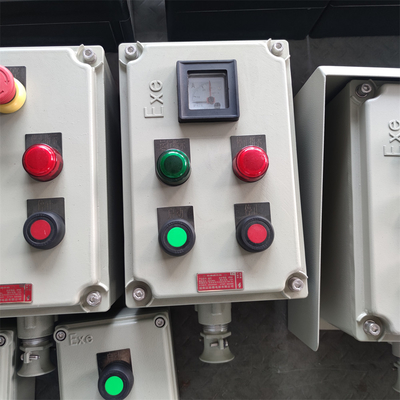 Flameproof Control Board With IP66/WF2 Protection For Hazardous Environments