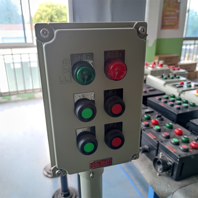 Petrochemical Control Box Panel With ATEX CNEX Rated IP66 WF2 Protection AC110/220/380/460V