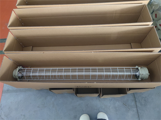 Class 1 Div 1 Ex Proof linear Fluorescent light With ATEX IECEx RoHS CNEX ISO For Marine Offshore Facilities