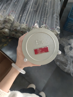 Class 1 Div 1 Ex Proof linear Fluorescent light With ATEX IECEx RoHS CNEX ISO For Marine Offshore Facilities