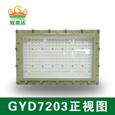 AC100-277V voltage 250w and IP66 protection level explosion proof led flood light for petroleum gas and industrial areas