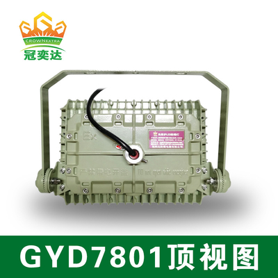 ATEX Explosion Proof LED Flood Light with 50000hrs Lifespan IP66 WF2 Protection IECEx Certified