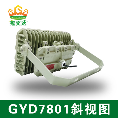 ATEX Explosion Proof LED Flood Light with 50000hrs Lifespan IP66 WF2 Protection IECEx Certified