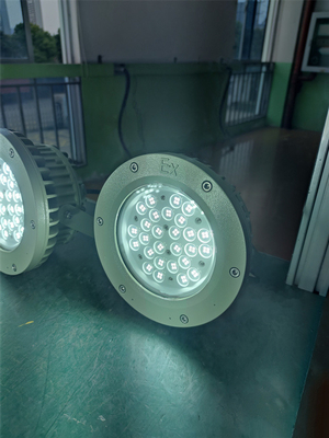 Ex Proof High bay Light 180lm/w ATEX Corrosion Resistant IP66 Led Outdoor Ceiling Light 50W-250W