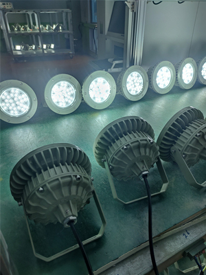 Ex Proof High bay Light 180lm/w ATEX Corrosion Resistant IP66 Led Outdoor Ceiling Light 50W-250W