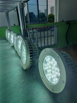 Ex Proof High bay Light 180lm/w ATEX Corrosion Resistant IP66 Led Outdoor Ceiling Light 50W-250W
