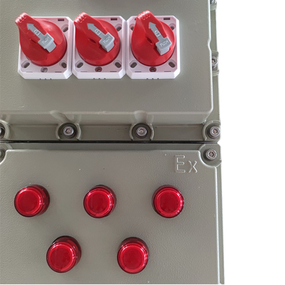 Flameproof IP66 Ex Db Eb IIC T6 Gb Ex Tb IIIC T80.C Db Wall Mount Aluminum Control Panel