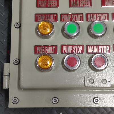ATEX CNEX rated Ex d Flameproof Panel Box Enclosure IP66 WF2 for Hazardous area with Customized Cable Entry 295Vac