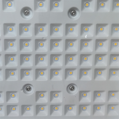 50-300Watt Explosion-Proof LED Floodlight for Extreme Conditions CCT 3000/4000/5000/5700K
