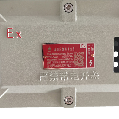 Hazardous Zone 1 Industrial explosion proof light fixture IP66 WF2 5 Watt 90-180mins