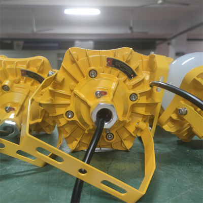 Explosion-proof Platform Light Explosion Proof Industrial Lighting IP66 RoHS approved For Oil\Gas\Chemical ZONE1