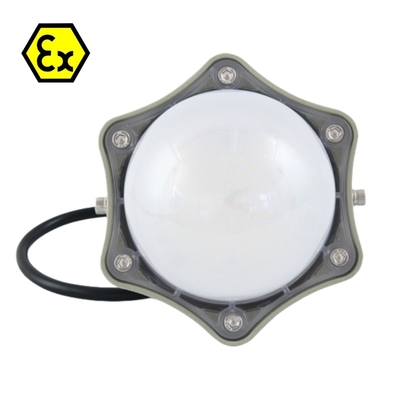 Explosion-Proof Platform Flameproof LED Light Atex RoHS IP66 100Watt for hazardous zone 1
