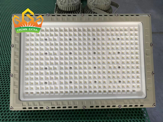 Intrinsically Safe LED Aluminum Floodlight with MEANWELL Driver