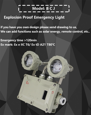BCJ Explosion Proof Emergency LED Lights with 50000h Life and OEM Service