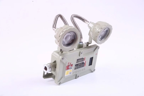 Industrial 2*3Watt 220VAC 24/36VDC Flameproof Emergency Lighting