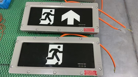 Zone 1 Aluminum Emergency Light With CRI Ra≥70 And Extended 90Mins Emergency Time