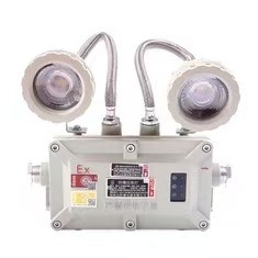Explosion Proof ExProof Emergency Light 2*3Watt LED 220VAC 24/36VDC For Zone 1 2