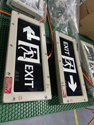 explosion proof emergency light 4500-6500K Class 1 Div 2 2*3W Aluminum Alloy 90/120/180 Minutes
