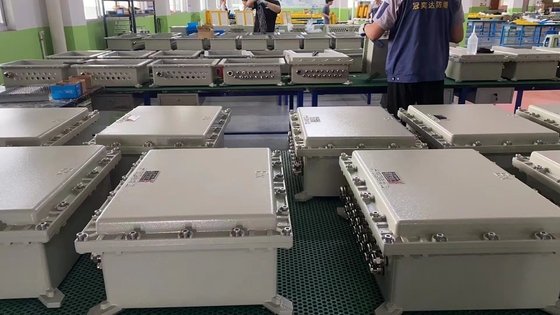 Waterproof Powder Coating Flameproof Distribution Board With IP66 WF2 And Customized Cable Entry