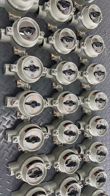 IP66 Rated Waterproof 3. Flame-Proof Selector for Temperature Applications