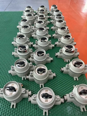 Surface Mount Explosion Proof Switch with Marine Grade Aluminum 10A Current