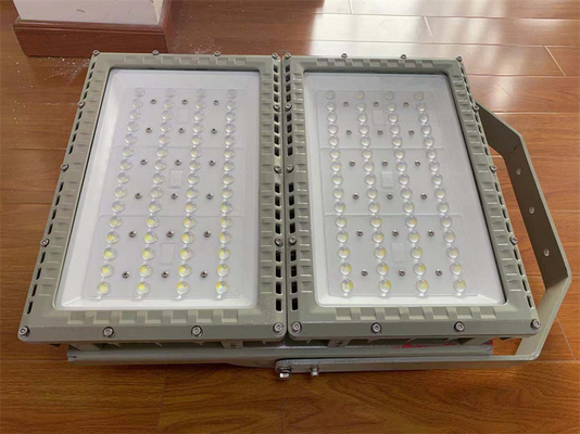 500 Watt 90-295Vac Atex Floodlight Customizable