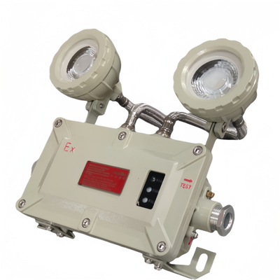 2*5w Explosion Proof Emergency Lights Wall And Ceiling Mounting For Hazardous Situations