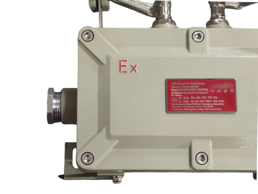 2*5w Explosion Proof Emergency Lights Wall And Ceiling Mounting For Hazardous Situations
