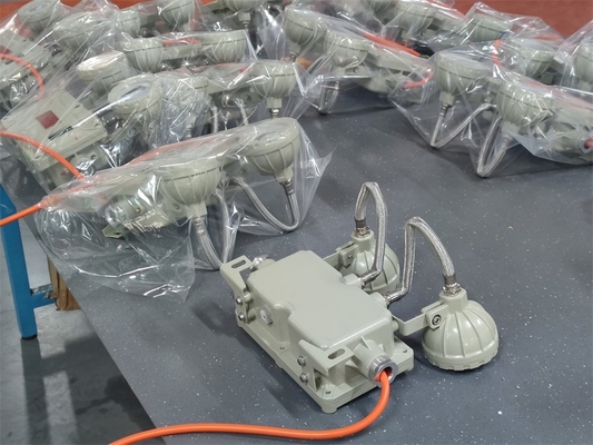 ATEX Explosion-Proof 2*3W LED Emergency Light IP66 Explosion-proof Gas Station Double Headlight 220V 380V