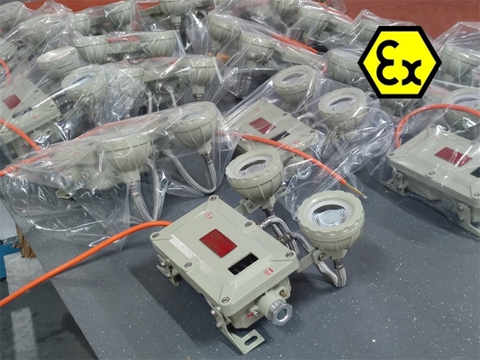 Zone 1 Flameproof Emergency Light 2*5Watt For Marine Applications