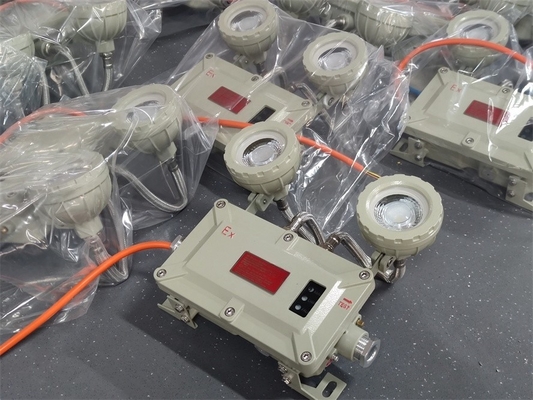 Zone 1 Flameproof Emergency Light 2*5Watt For Marine Applications