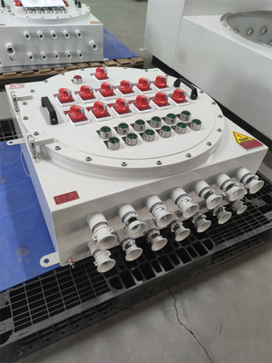 110VAC Ex Proof Flameproof Control Panels Distribution Boards Wall Mounting Customizable