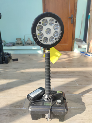 Oil Gas Industrial Hazardous Zone 1 Division 1 Explosion Proof Light Fixture ATEX RoHS Certification