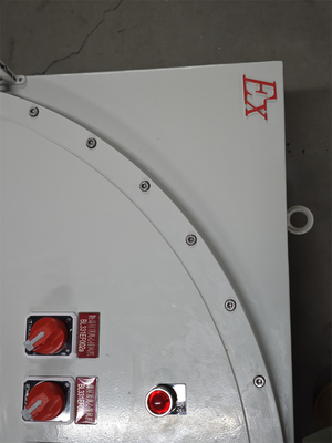 ATEX 380V Flameproof Control Panels Industrial Power Distribution Panel Aluminium Material Anti Corrsion IP66 For Hazardous Zone1 2 21 22 Rated Current ≤250A