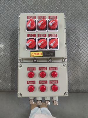 Wall Mounted Exproof Flameproof Control Panels Customizable Rated Voltage ATEX CNEX ISO9001 Certification For Oil Gas Marine Solution
