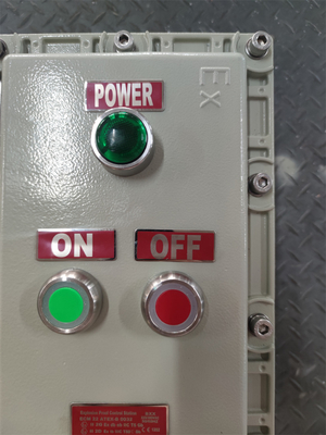 10mm Thick Explosion Proof Flameproof Control Sation Box IP66 Anti Corrsion Customized Cable Entry High Reliability For Airport Gas Staion ZONE1