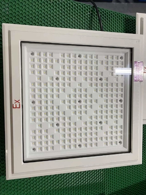 Explosion Proof LED Flood Light With Lamp Bead CREE And 50-240Watt Category