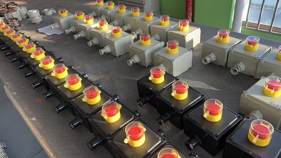 Flameproof Control Panel 2mm Hanging Vertical Mounting Exposion proof Distribution Board