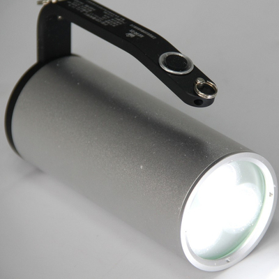LED Customizable Server Explosion Proof Lighting IP66 WF2 Protection