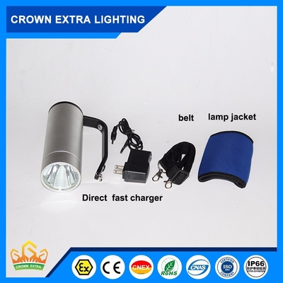 Customizable Server Explosion-Proof LED Illumination 16hours Emergency Time For Chemical Storage Facilities