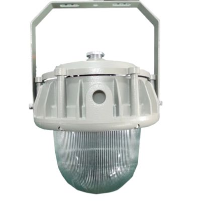 IECEx-certified maintenance-free LED explosion-proof high-bay lights available with customizable flat/domed covers