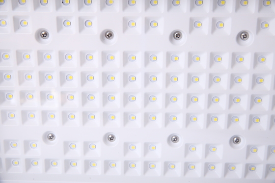 50–240W Customizable Explosion Proof LED Floodlight | CREE Chips | ATEX Certified for Hazardous Areas