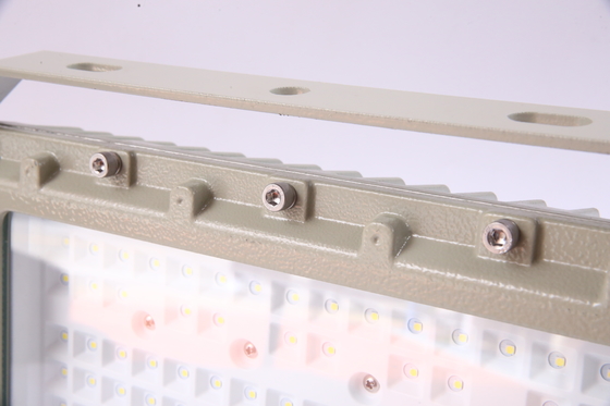 50–240W Customizable Explosion Proof LED Floodlight | CREE Chips | ATEX Certified for Hazardous Areas