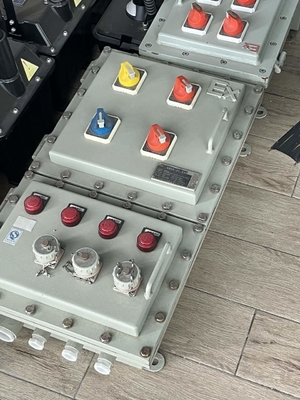 IIC T4 Explosion Proof Control Panel – Flameproof Distribution Enclosure for Hazardous Areas