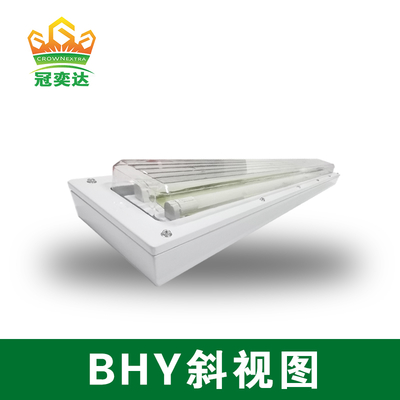 Explosion Proof LED Light Fixture BHY Series 9W-27W IP66 WF2