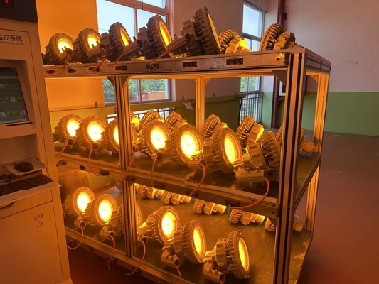 150W Explosion Proof LED High Bay Light for Warehouse – Ceiling Mounted, SMC Molded Pressure-Resistant Housing