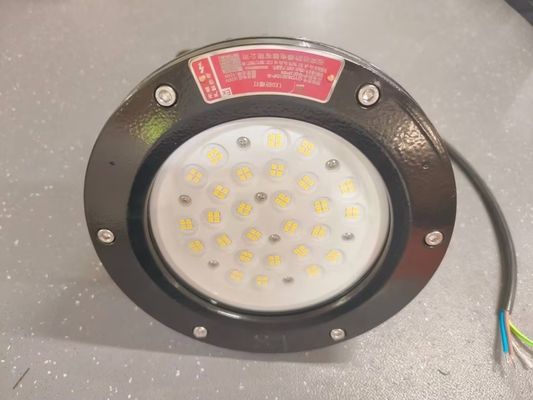 Explosion Proof LED High Bay Light IP66 ATEX Certified 160lm/W
