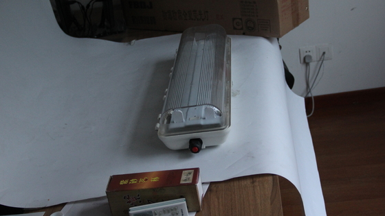 For Hazardous Areas Oil & Gas Chemical Plants Mining Marine Facilities Explosion Proof Linear LED Light Industrial Grade IP66 Lighting Energy-efficient design reduces Durable 0.6/1.2m ATEX/IECEx/CNEX